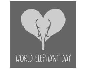 elephant logo